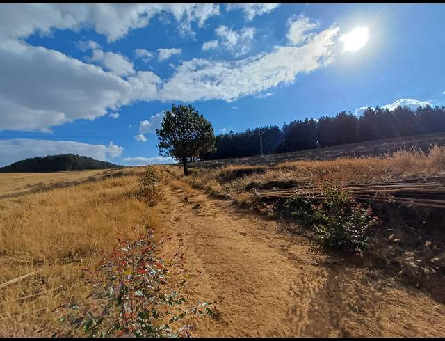 63.80HA FARM FOR SALE IN LIONS RIVER